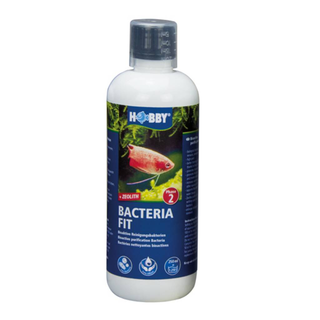 Bacteria Fit